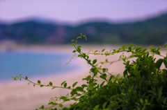 海が見えたぁ・・