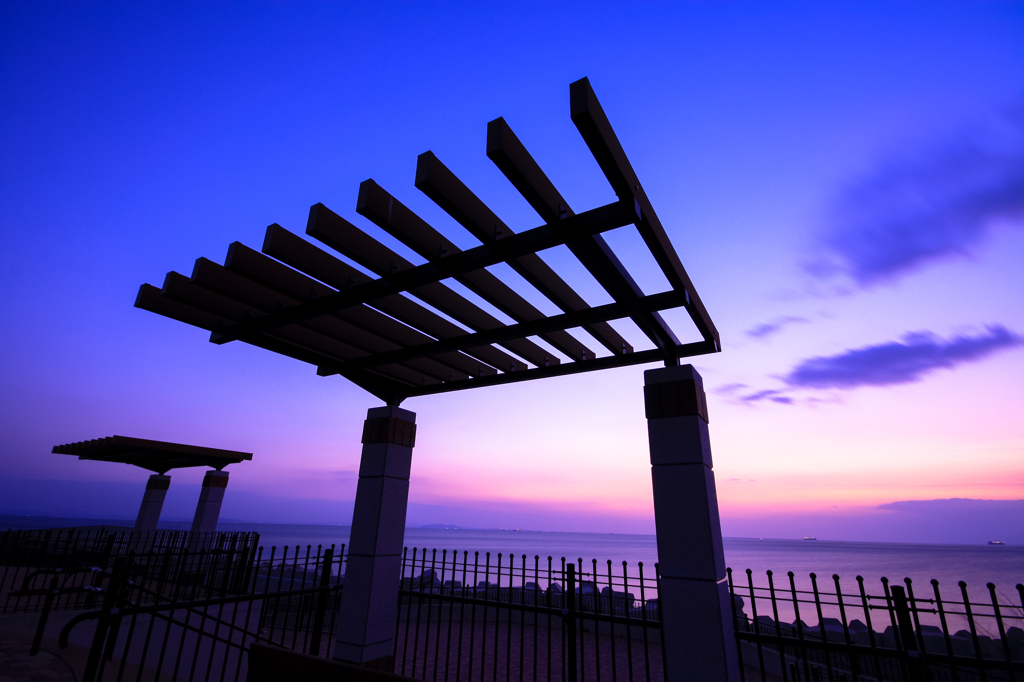 Violet morning