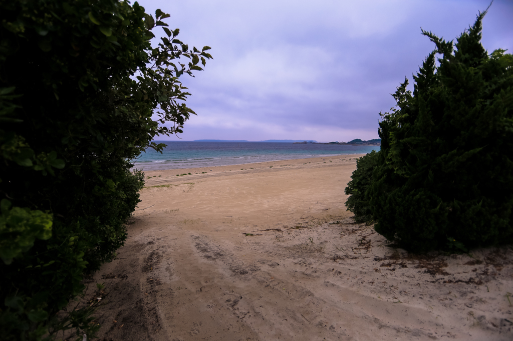 海へとつながる路