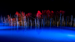 ライトアップの青い池。