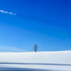 雪原とひと筋の雲。