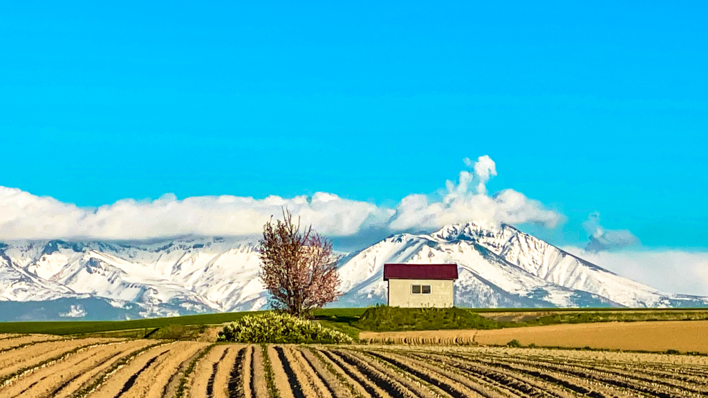 櫻のある山々の風景。