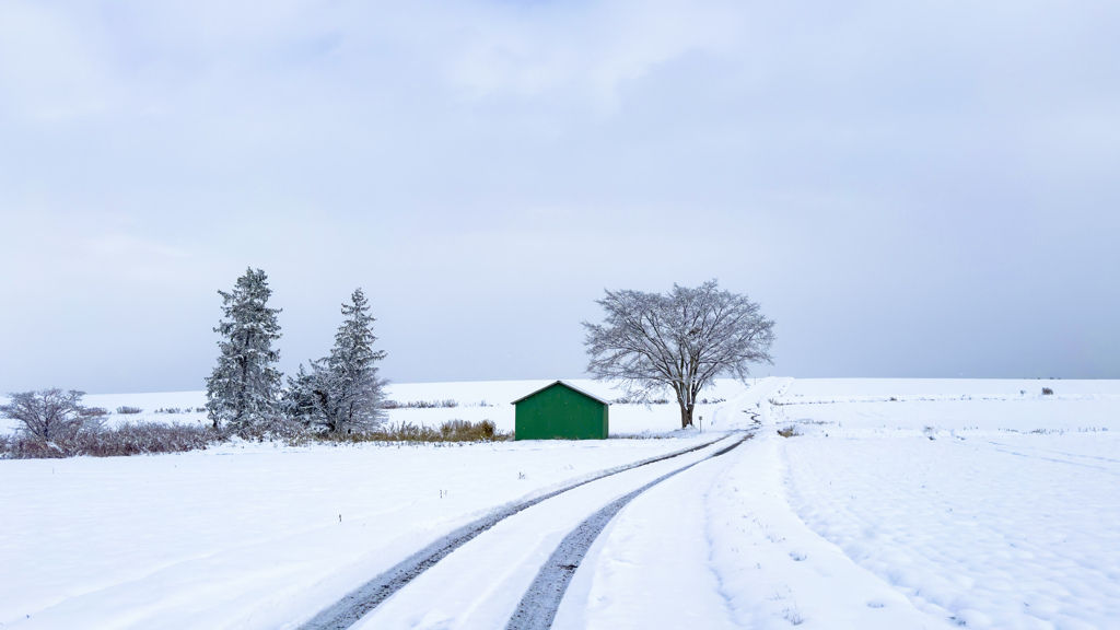 初雪の畑道。 