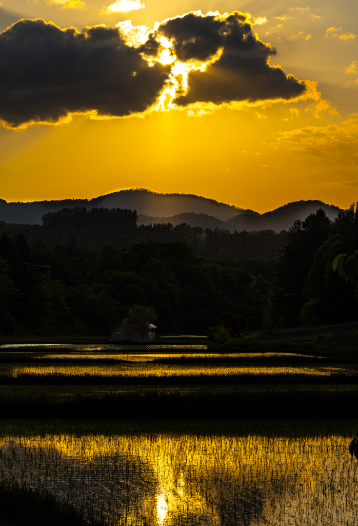 田舎の春の夕暮れ。