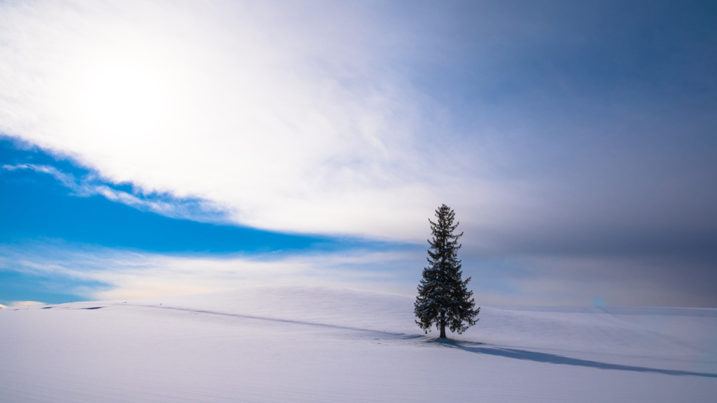memorable Cristmas-tree.