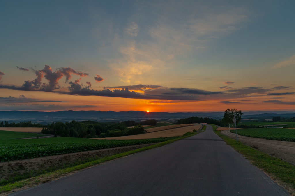 美瑛の丘の夕暮れ。