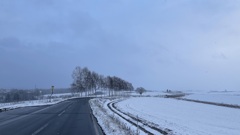 薄雪のセブンスターの木あたり。