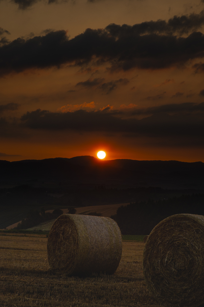 麦稈ロールを照らす夕陽。