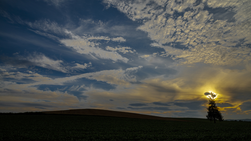 空と大地の夕暮れに。