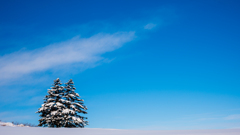 雪と雪の合間の青空。