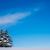 雪と雪の合間の青空。