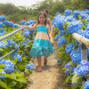 沖縄の紫陽花と散策の少女