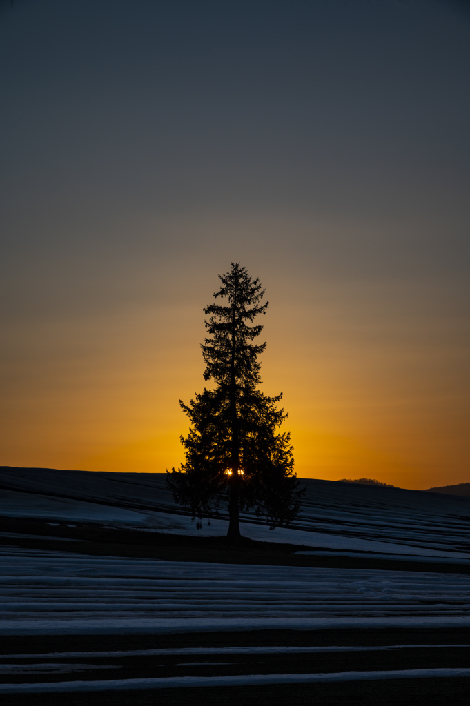 雪解けの丘に沈む夕陽。