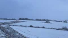 薄雪の道。
