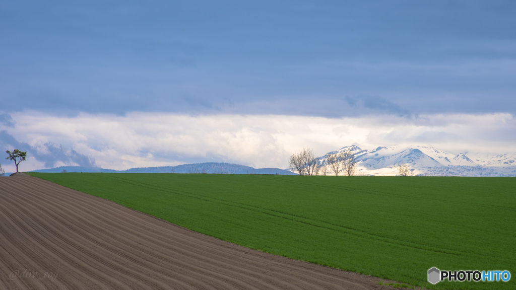 美瑛の丘と山なみ