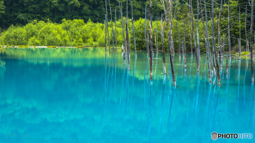 青い池