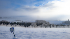 雪原の丘。  