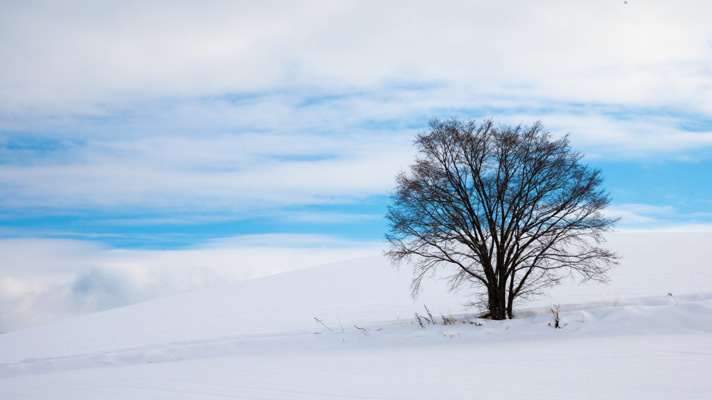 雪の丘、空と雲。