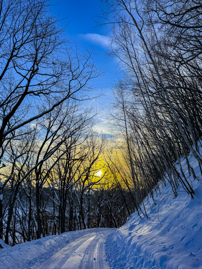 雪道の夕暮れ。 