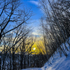 雪道の夕暮れ。 