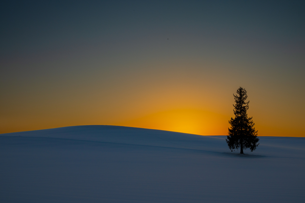 雪の丘、沈んだ太陽の光に浮き出て。