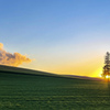 春の丘に沈む太陽と光。