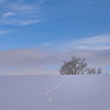 雪丘を越えて。