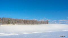 青い空白い雪