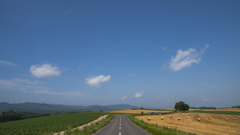 麦稈ロールがみえる丘の道。 