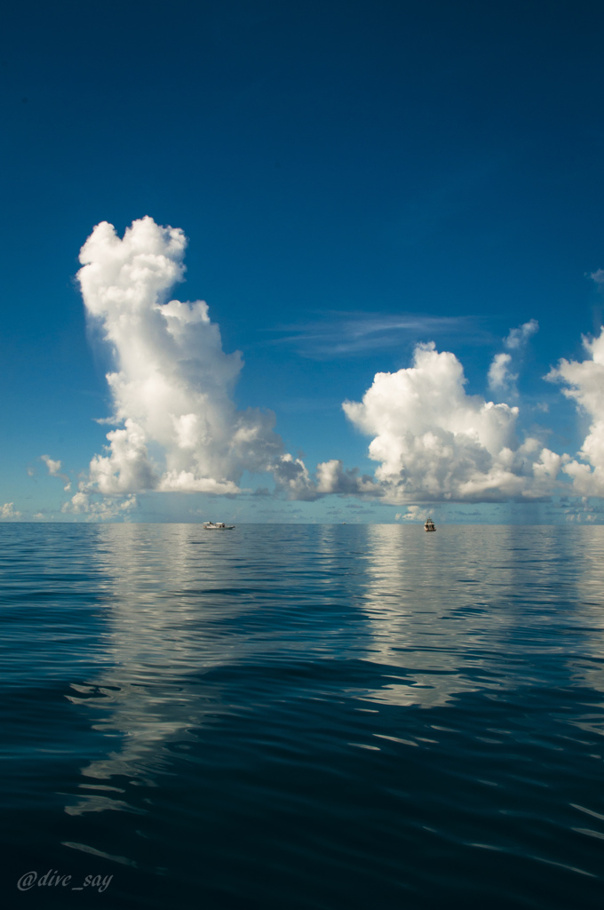 夏の海