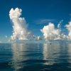 夏の海
