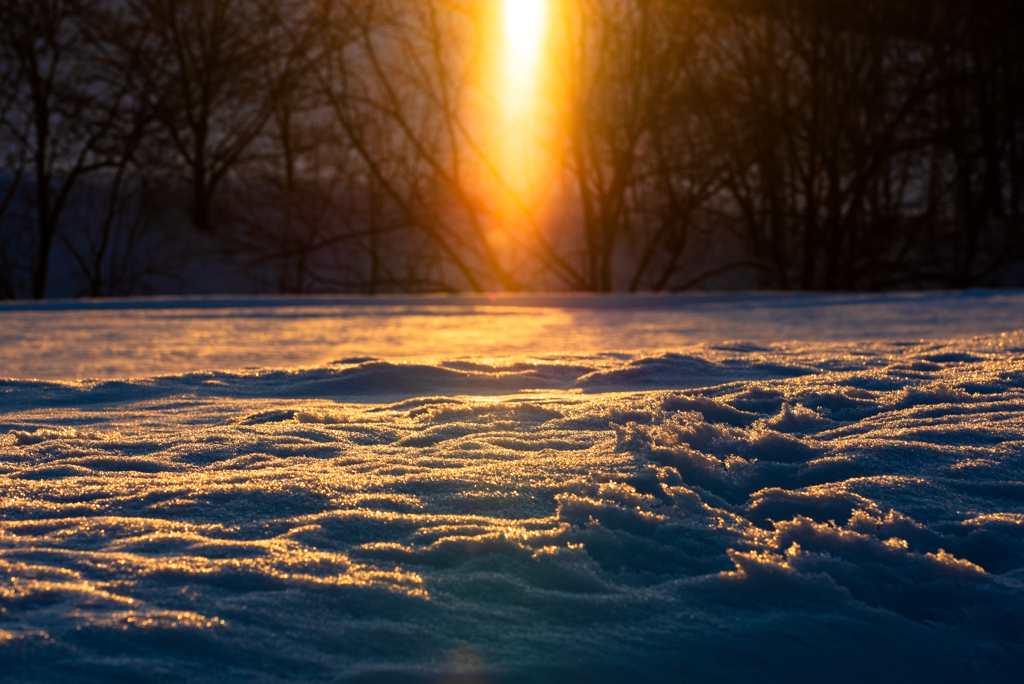 夕暮れの雪原。