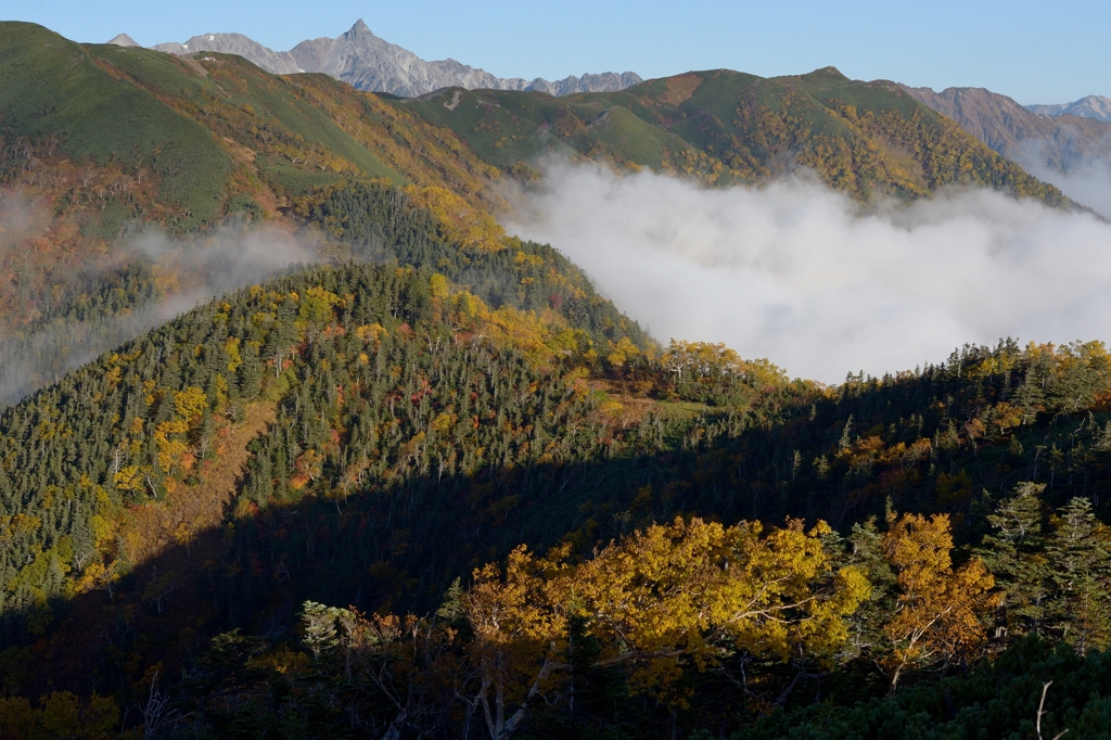 紅葉の峰