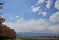 田植えの季節