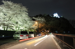 夜桜、犬山城