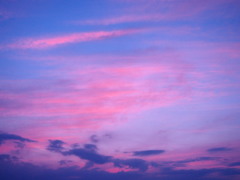 あじさい空