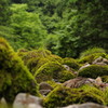小さな山脈
