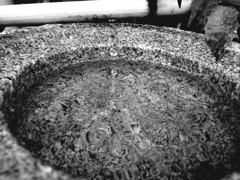 水面に吸い込まれる