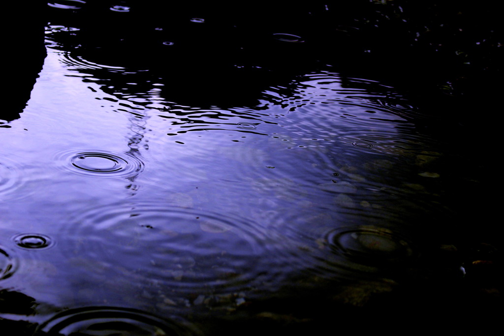 雨の足あと