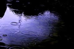 雨の足あと
