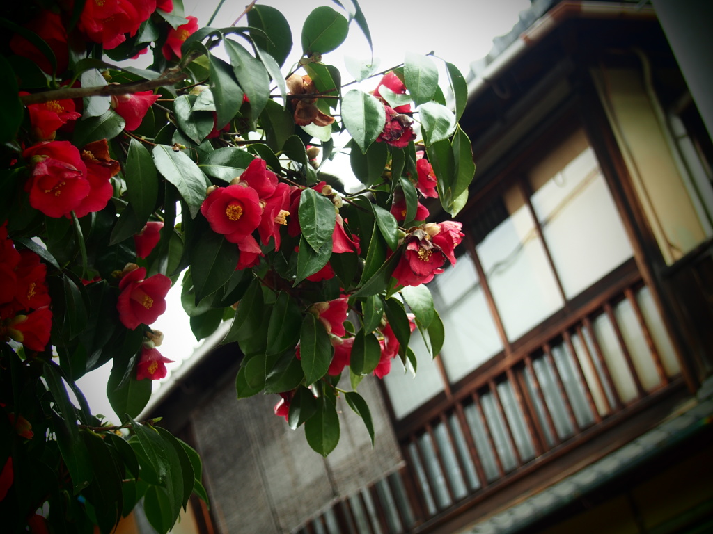 雨宿り中に見つけた風景