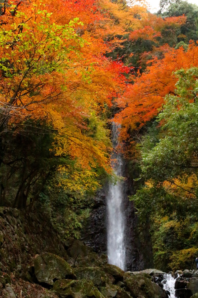 いろどりの滝