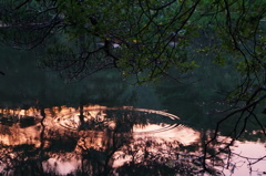 湖面の夕焼け