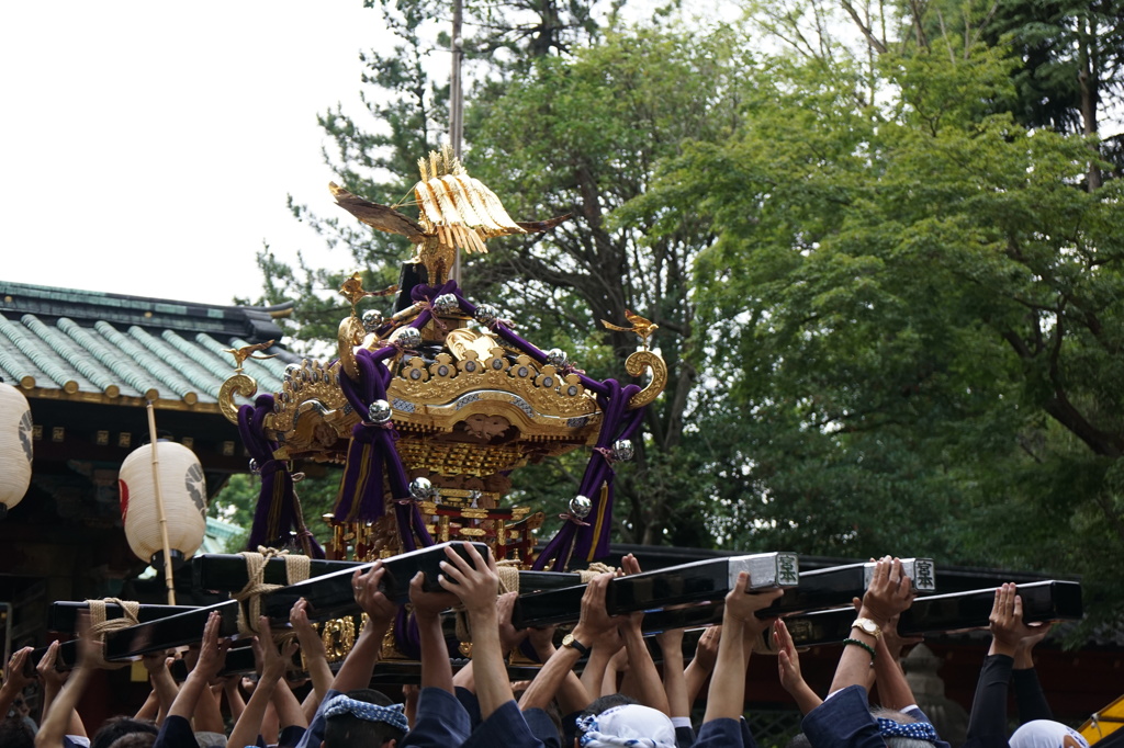 高く、高く