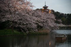 三渓園夕暮れ