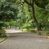 旧古河庭園　灯籠