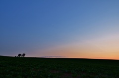 空と月