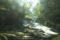 Green 06