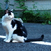 ふりむき