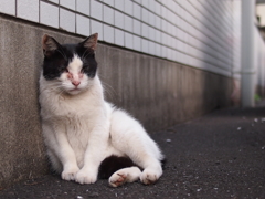 もたれる